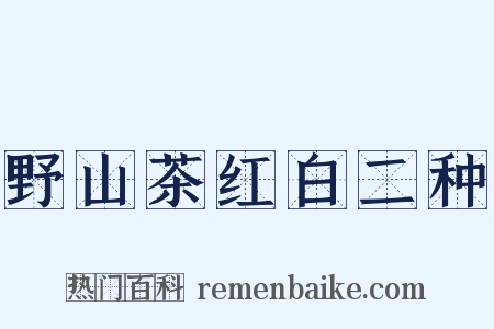 野山茶红白二种是什么意思的图片